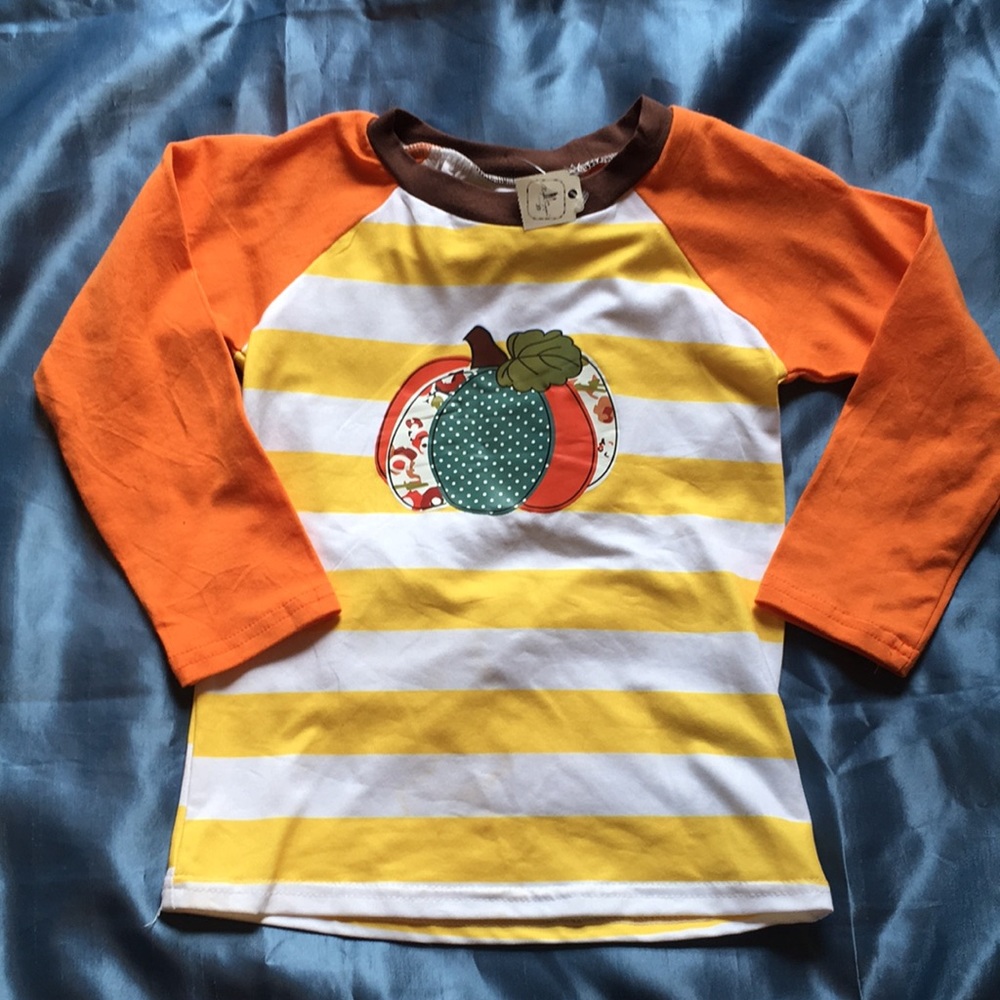 Fall Pumpkin Long Sleeve Girl Top size 2T